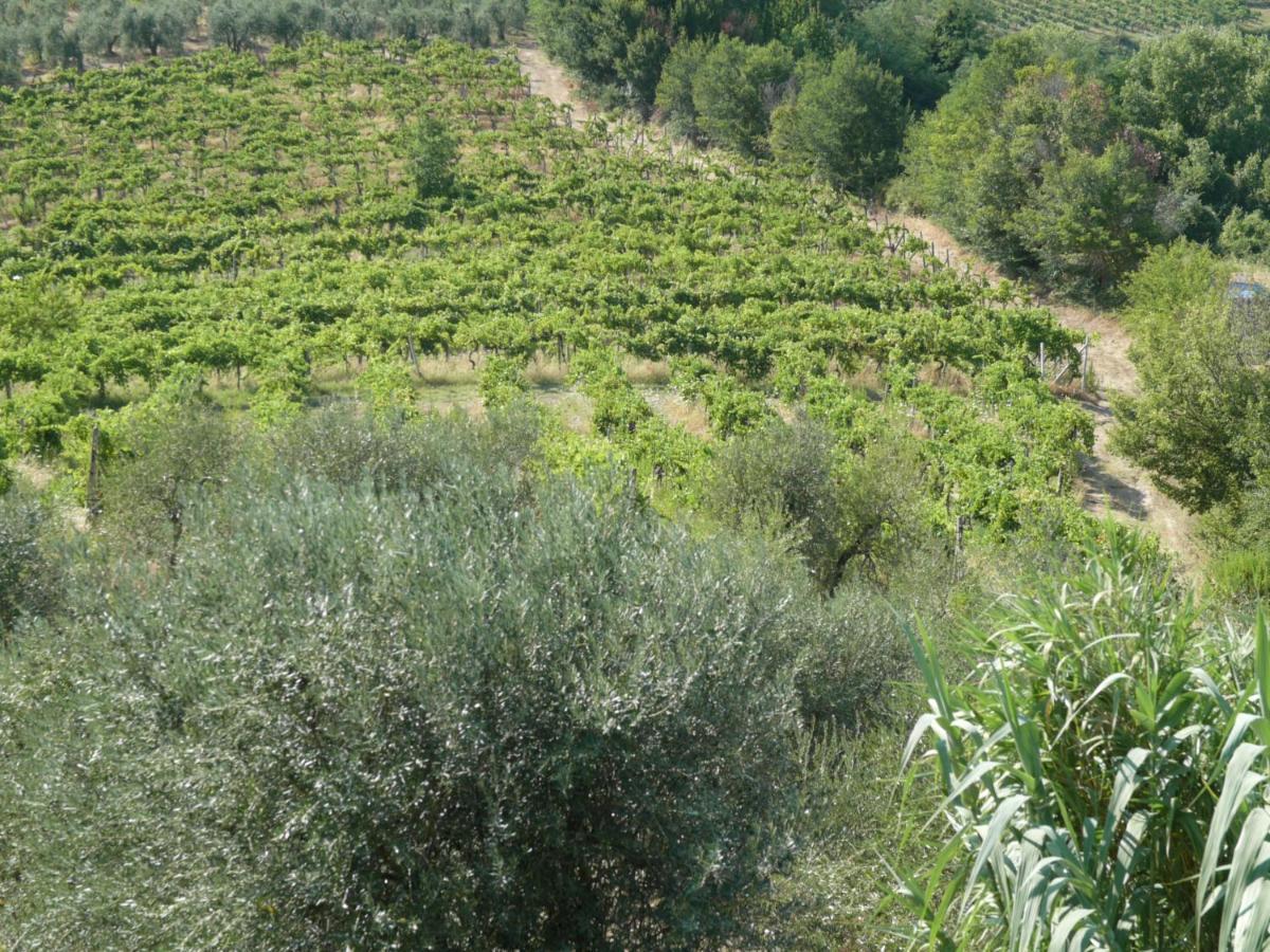 Agriturismo Santa Croce San Gimignano Zewnętrze zdjęcie